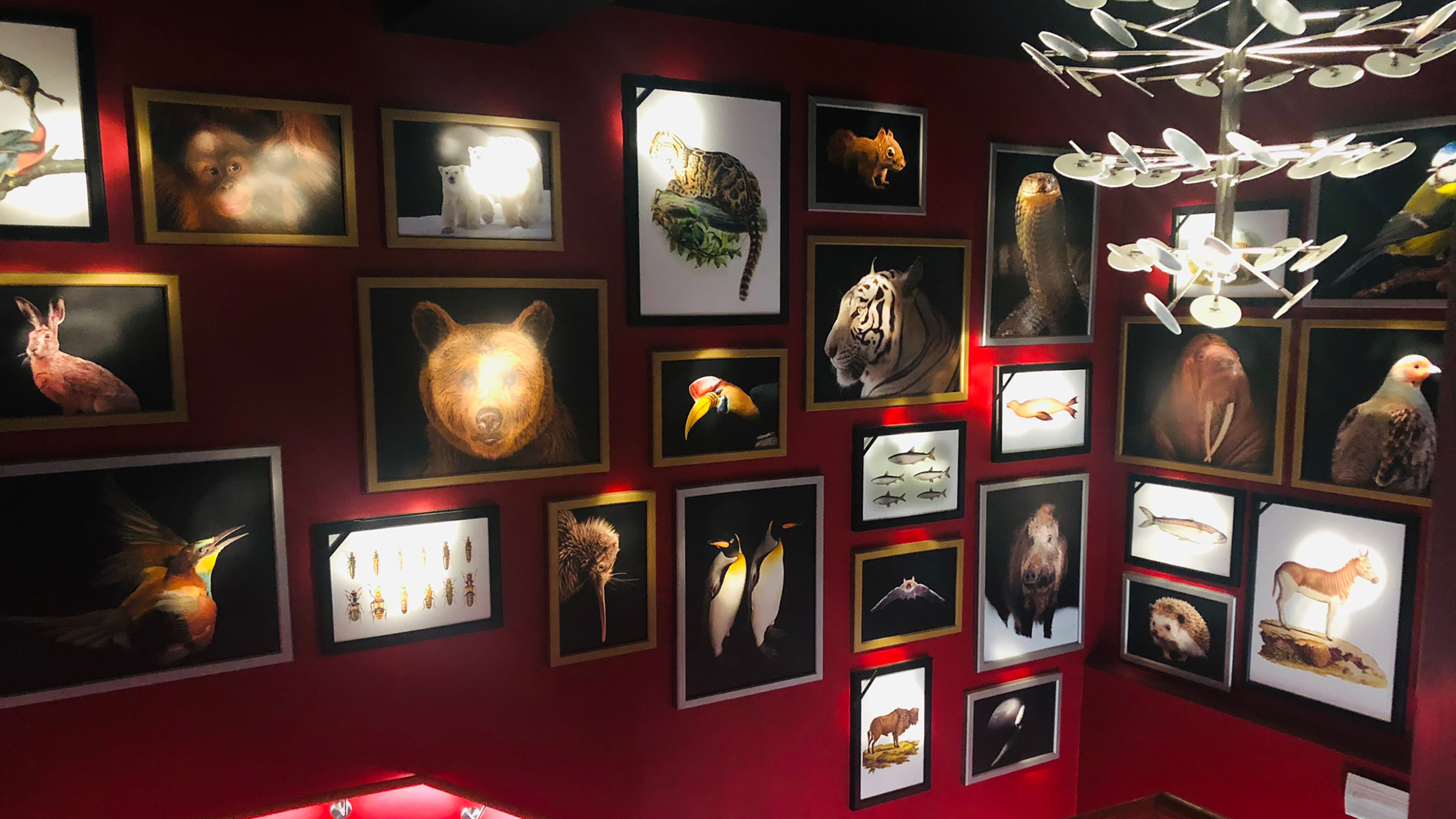 Nationalpark-Zentrum Königsstuhl